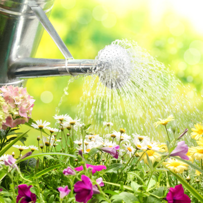 Increased Water Consumption is Coming